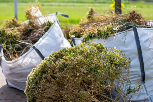 Best Dumpster Rental Services  in Champaign, IL